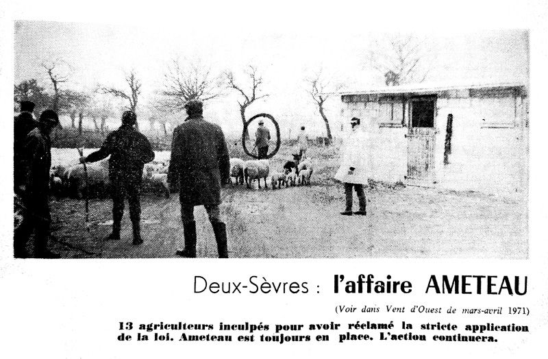 Guerre aux cumulards pendant les années rock’n’roll