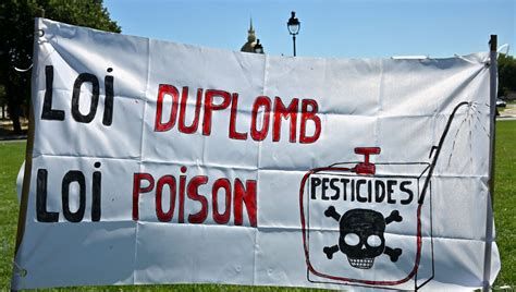 LA LOI DUPLOMB PARTIELLEMENT CENSURÉE : UN PIED DANS LA PORTE ?