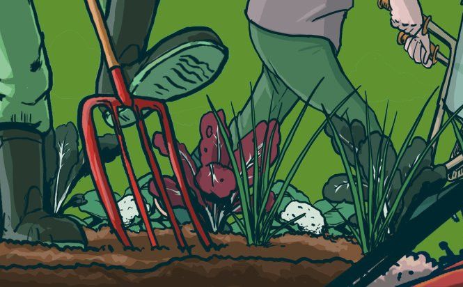 Des chantiers conviviaux pour soutenir l’agriculture paysanne, les Brigades d’Action Paysannes de Belgique