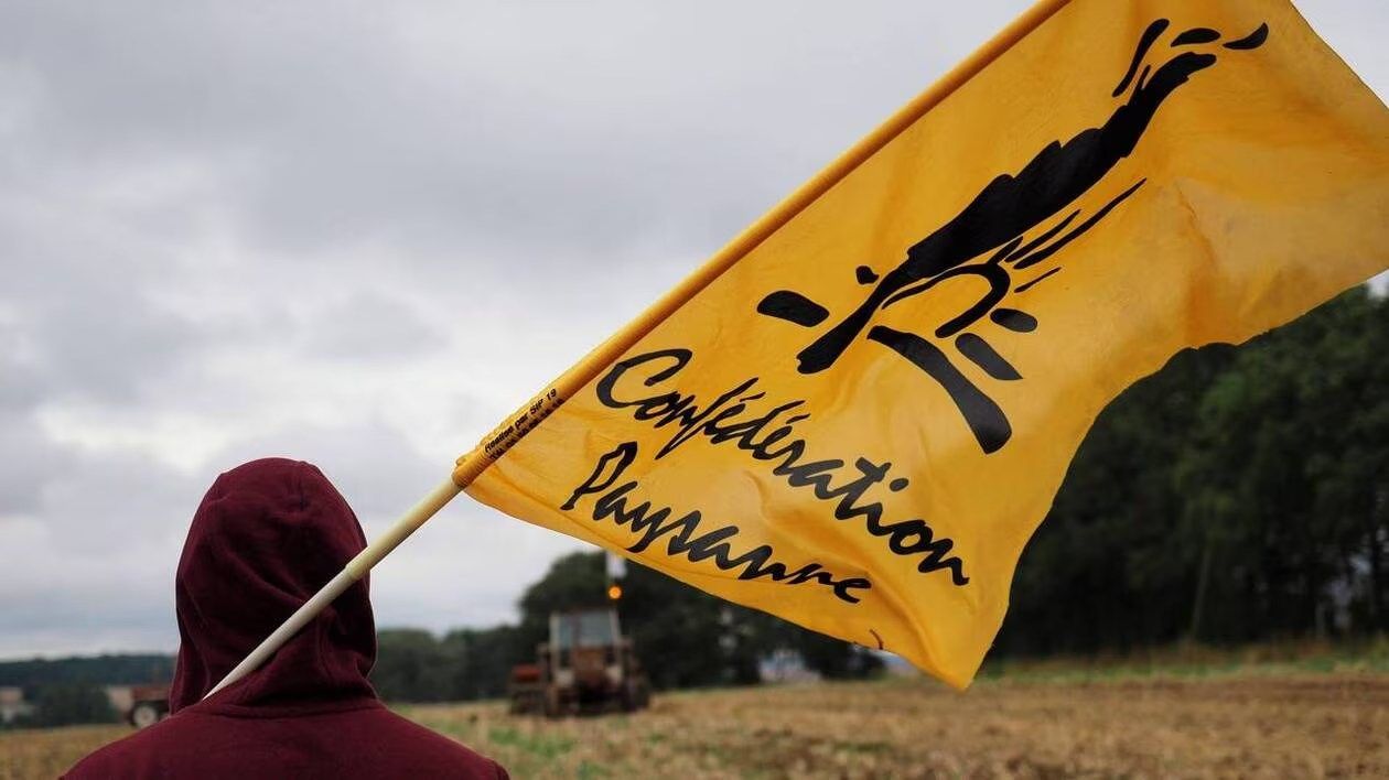 31 voix qui changent l’histoire