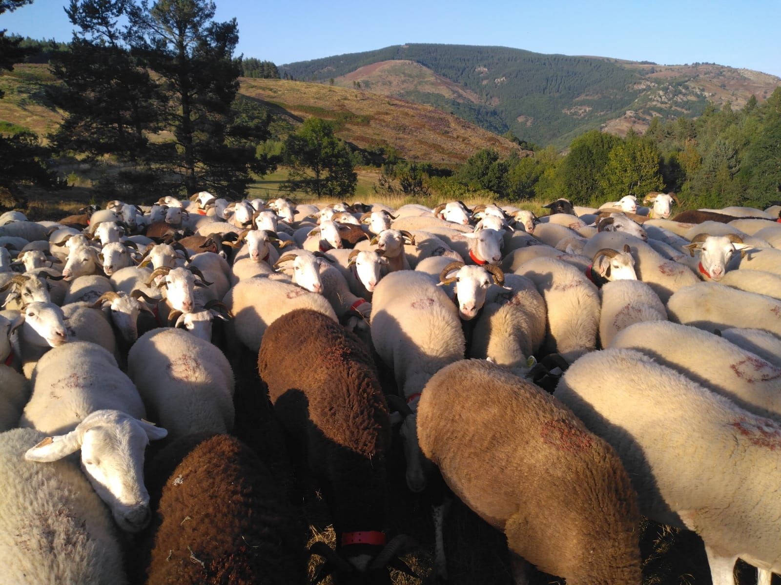 Ma vision du travail